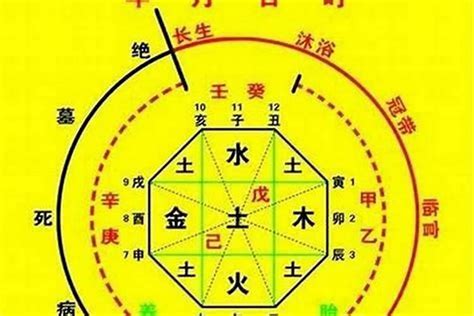 八字喜用神怎麼看|八字入门基础 第六篇 如何判断八字喜用神